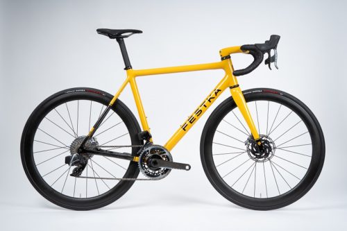 Festka ONE 2022