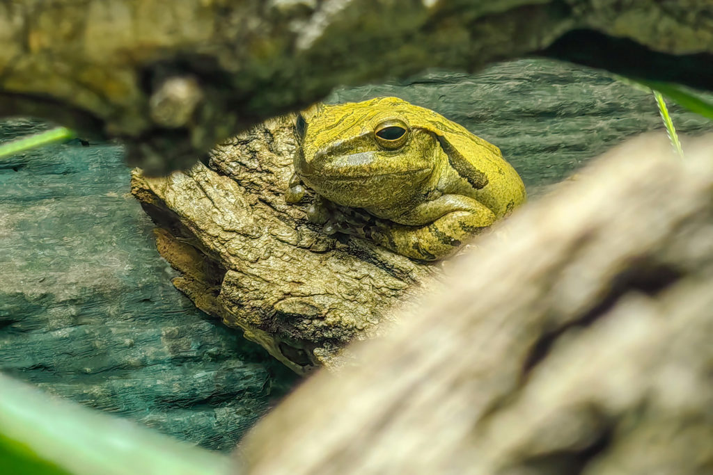 Průhledy dodají fotografiím na zajímavosti