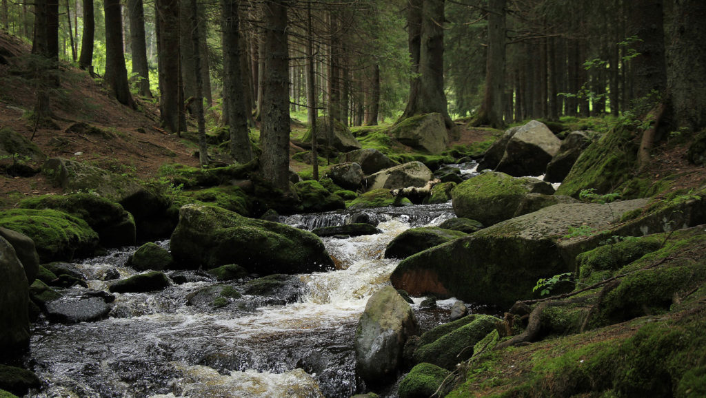 Šumava