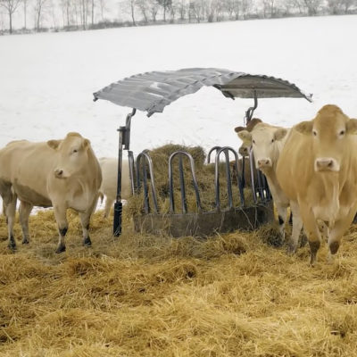 Zvířata na farmě