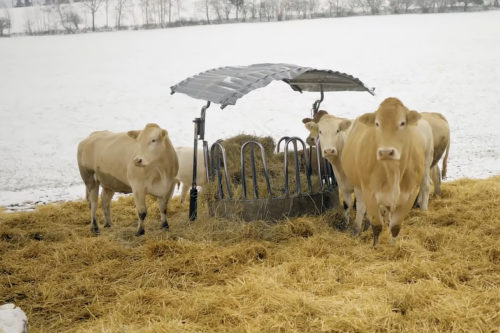 Zvířata na farmě
