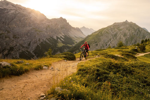 Above The Bike Experience