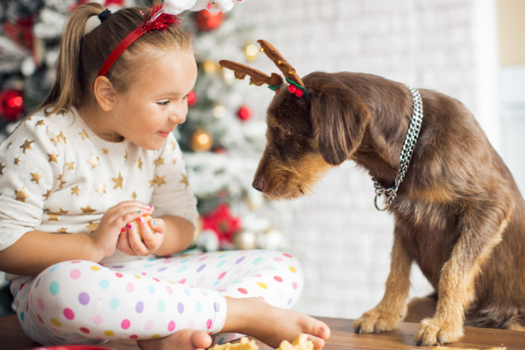 Vánoce a domácí mazlíčci