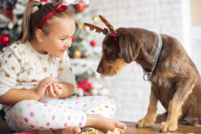 Vánoce a domácí mazlíčci