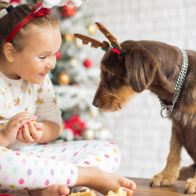 Vánoce a domácí mazlíčci