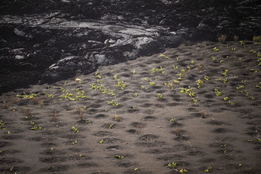 Terén na Kapverdách