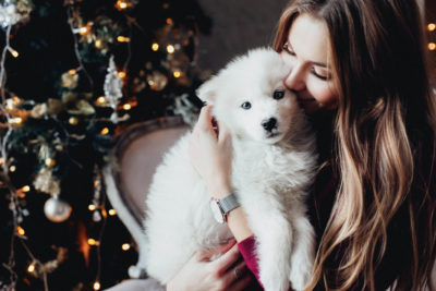 Mazlíček pod stromeček