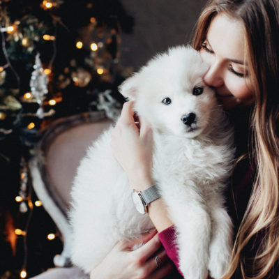 Mazlíček pod stromeček