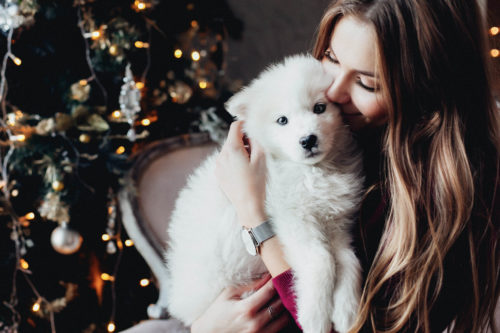 Mazlíček pod stromeček