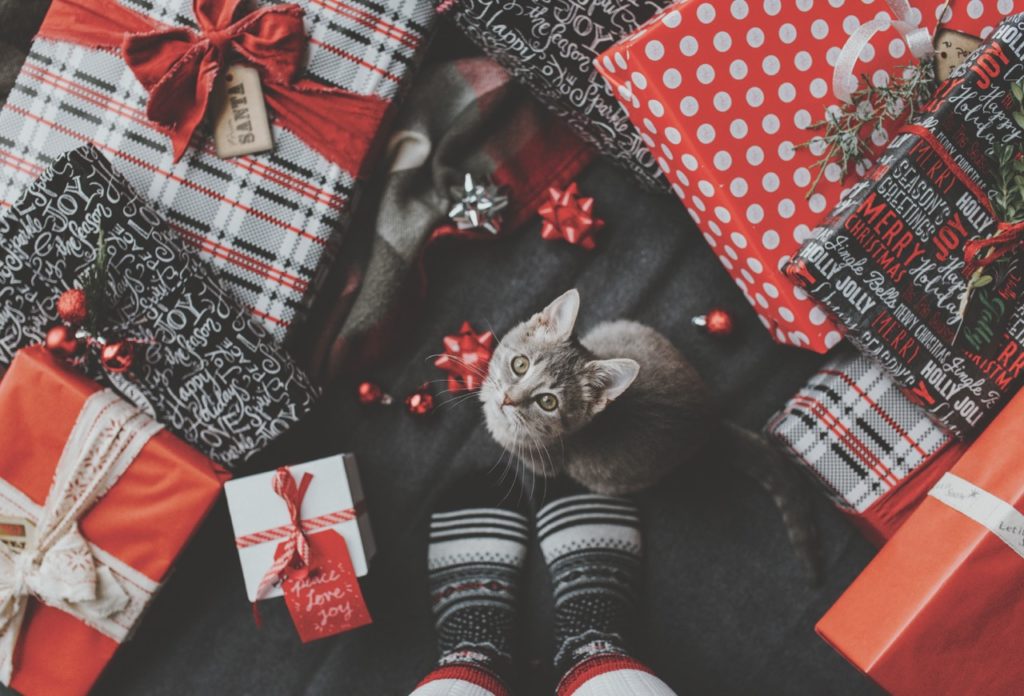 Kočka pod stromečkem